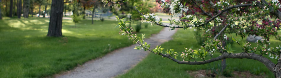 Crabapple Allee