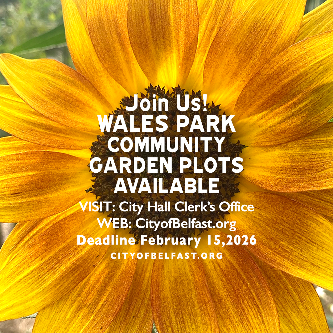 IG-Wales-Garden-2026